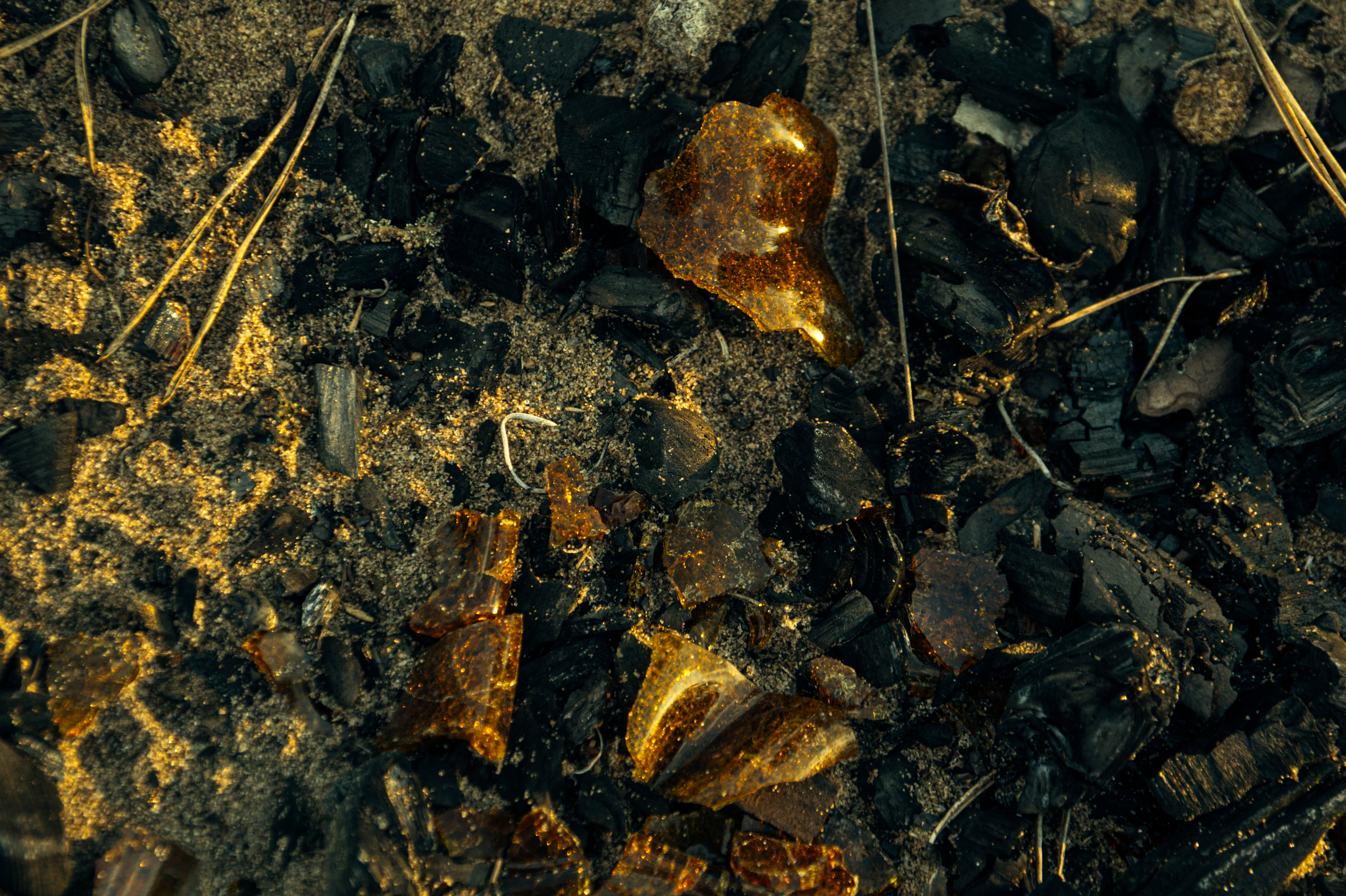 Standard Post with Image