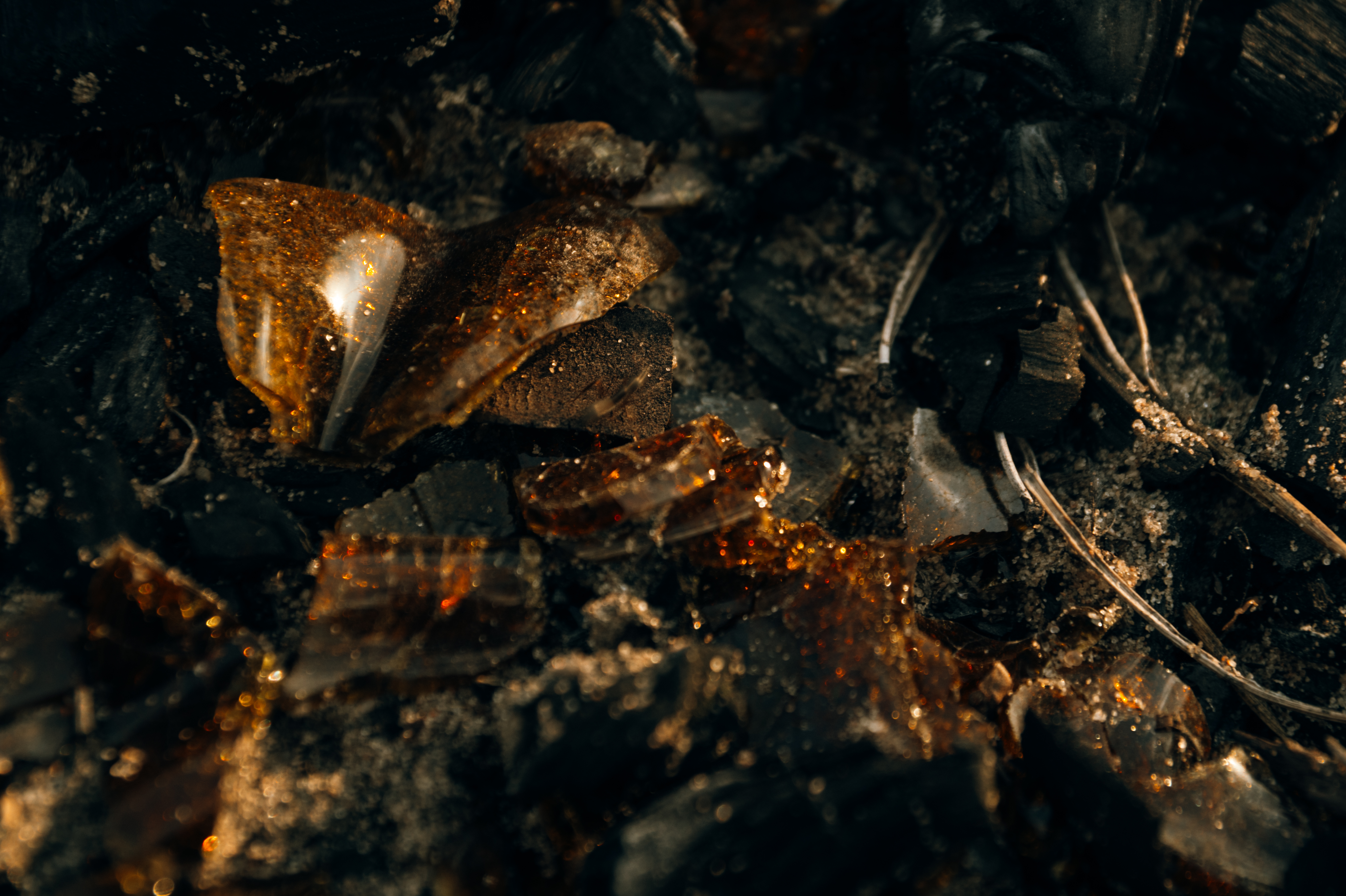 Standard Post with Image