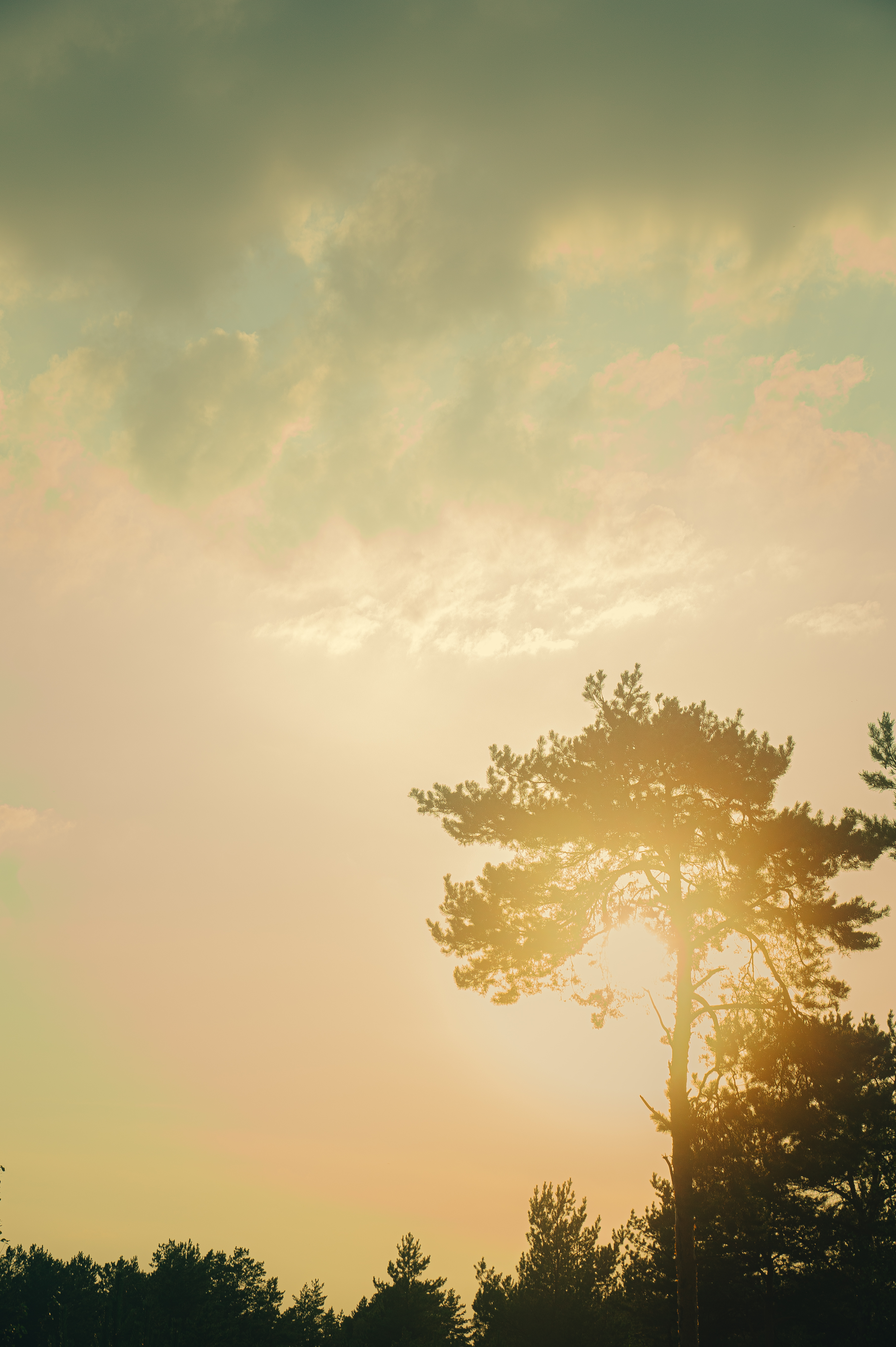 Standard Post with Image