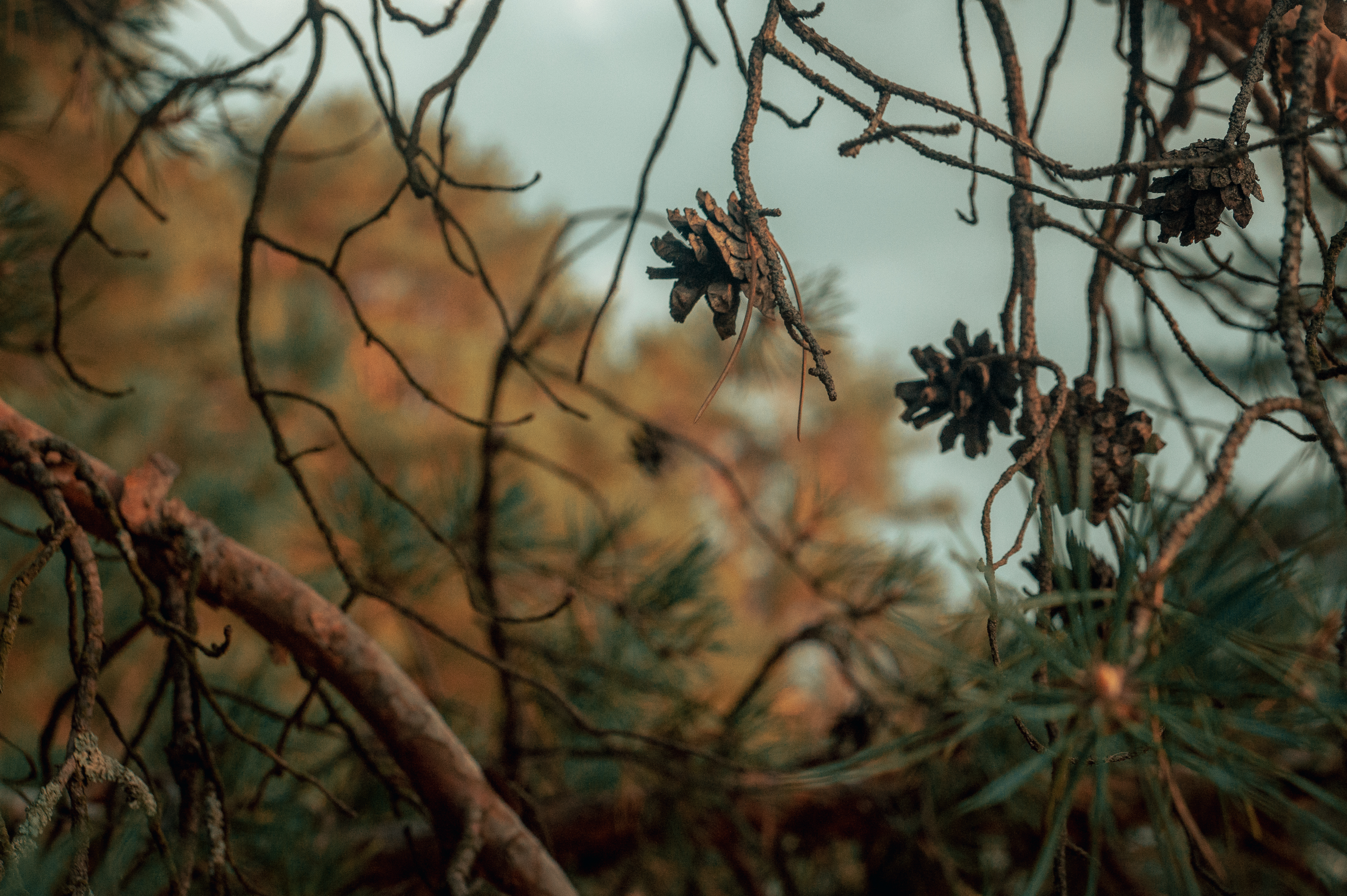 Standard Post with Image