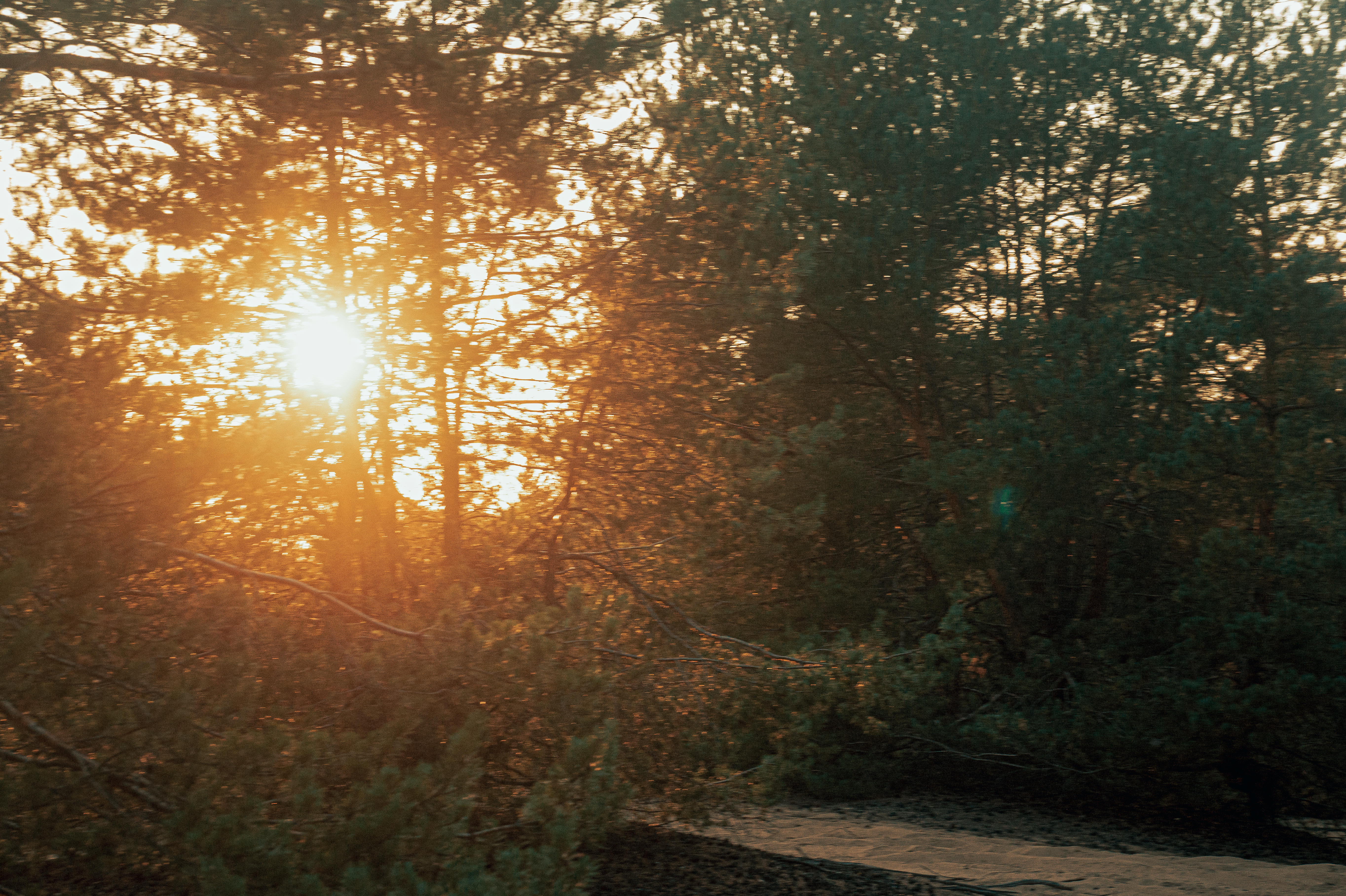 Standard Post with Image