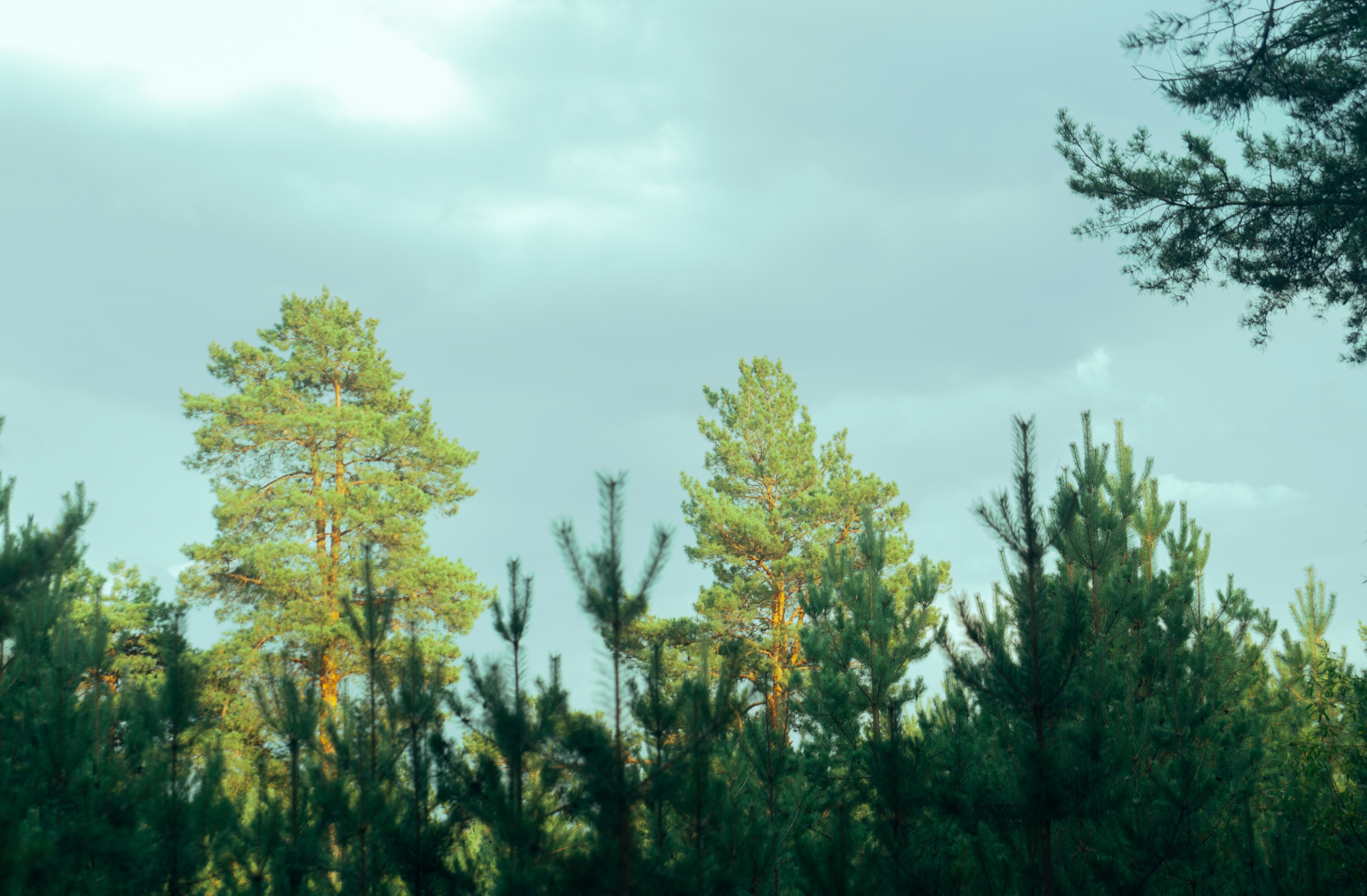 Standard Post with Image