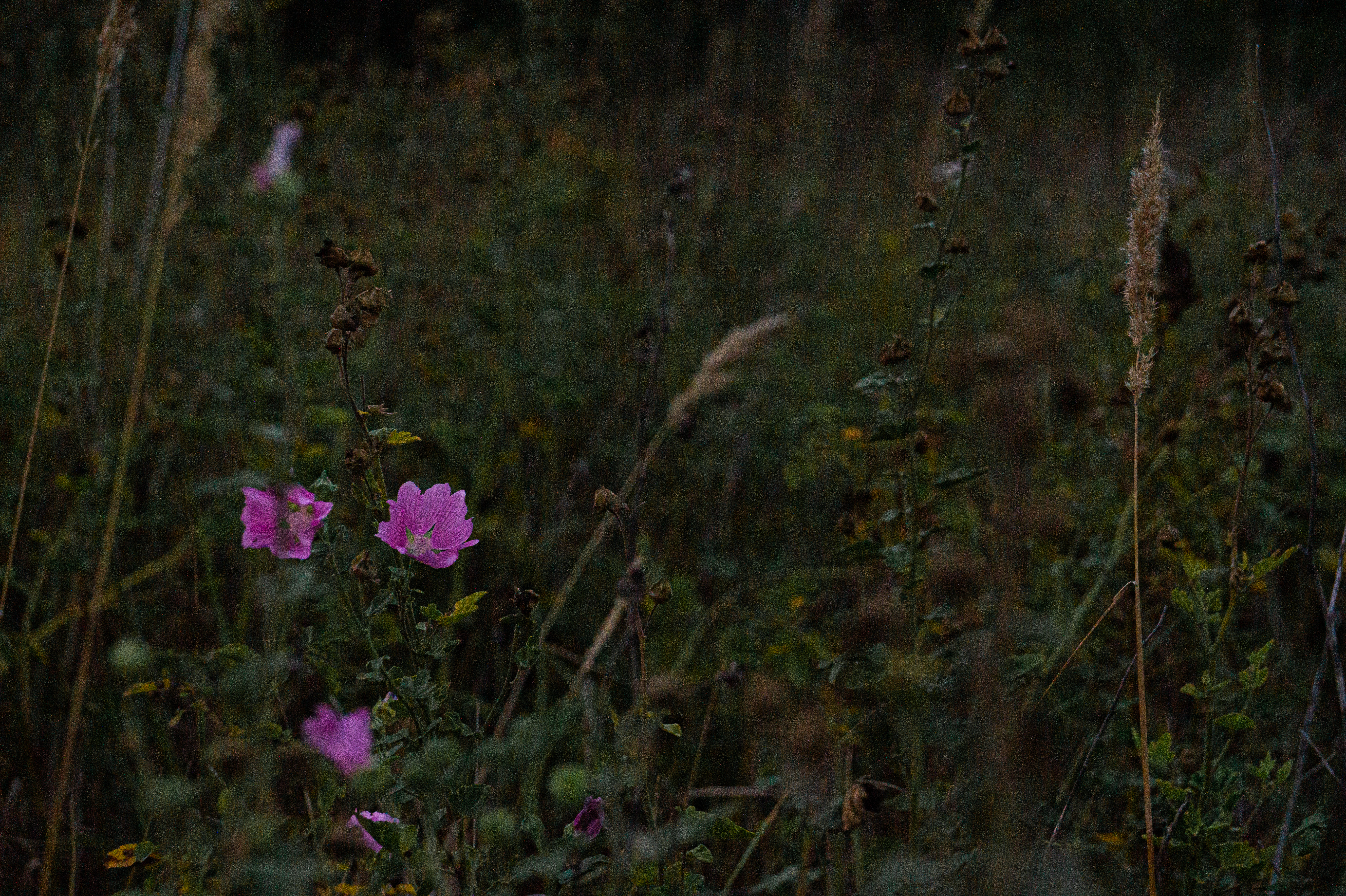 Standard Post with Image