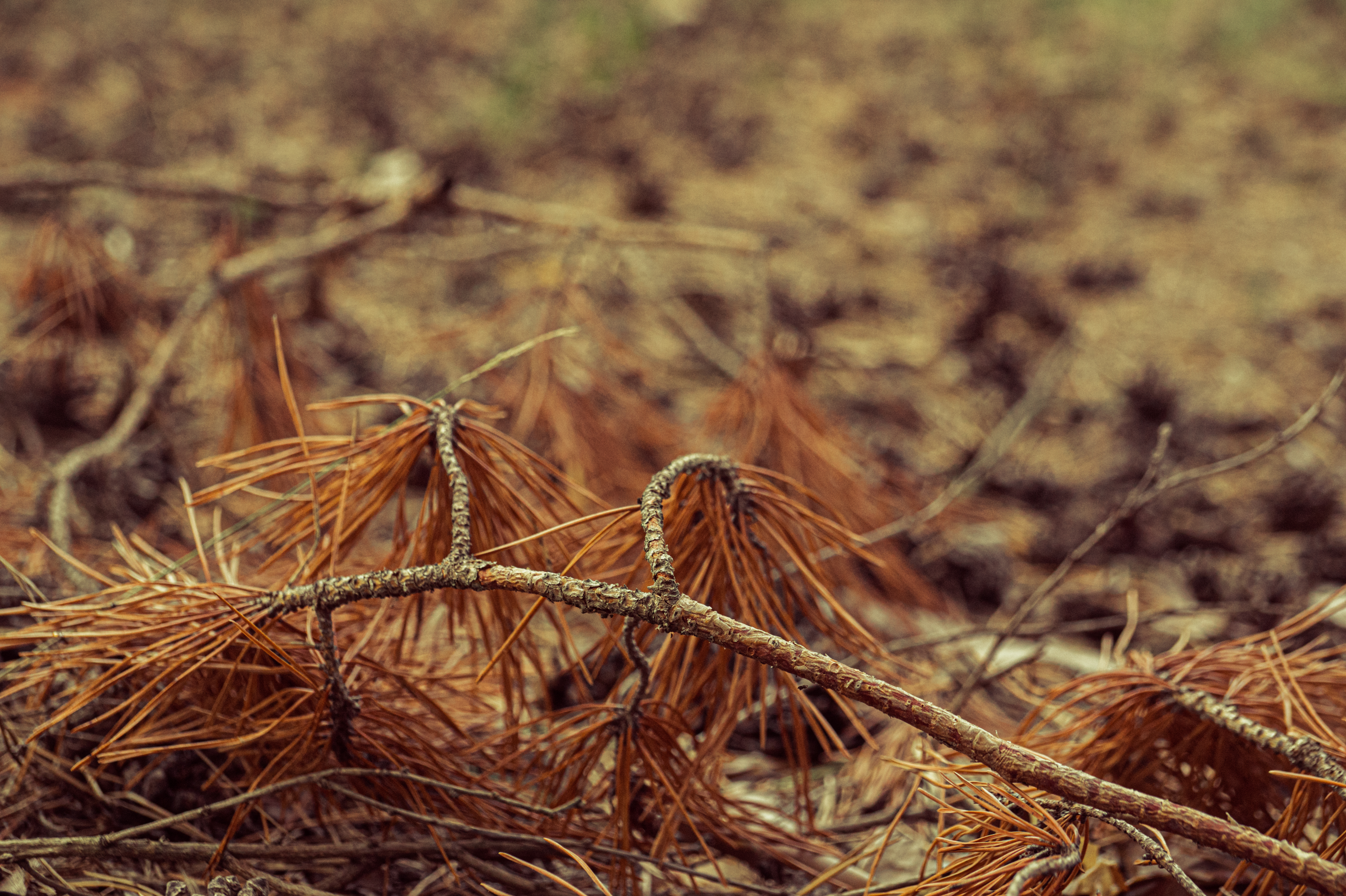 Standard Post with Image