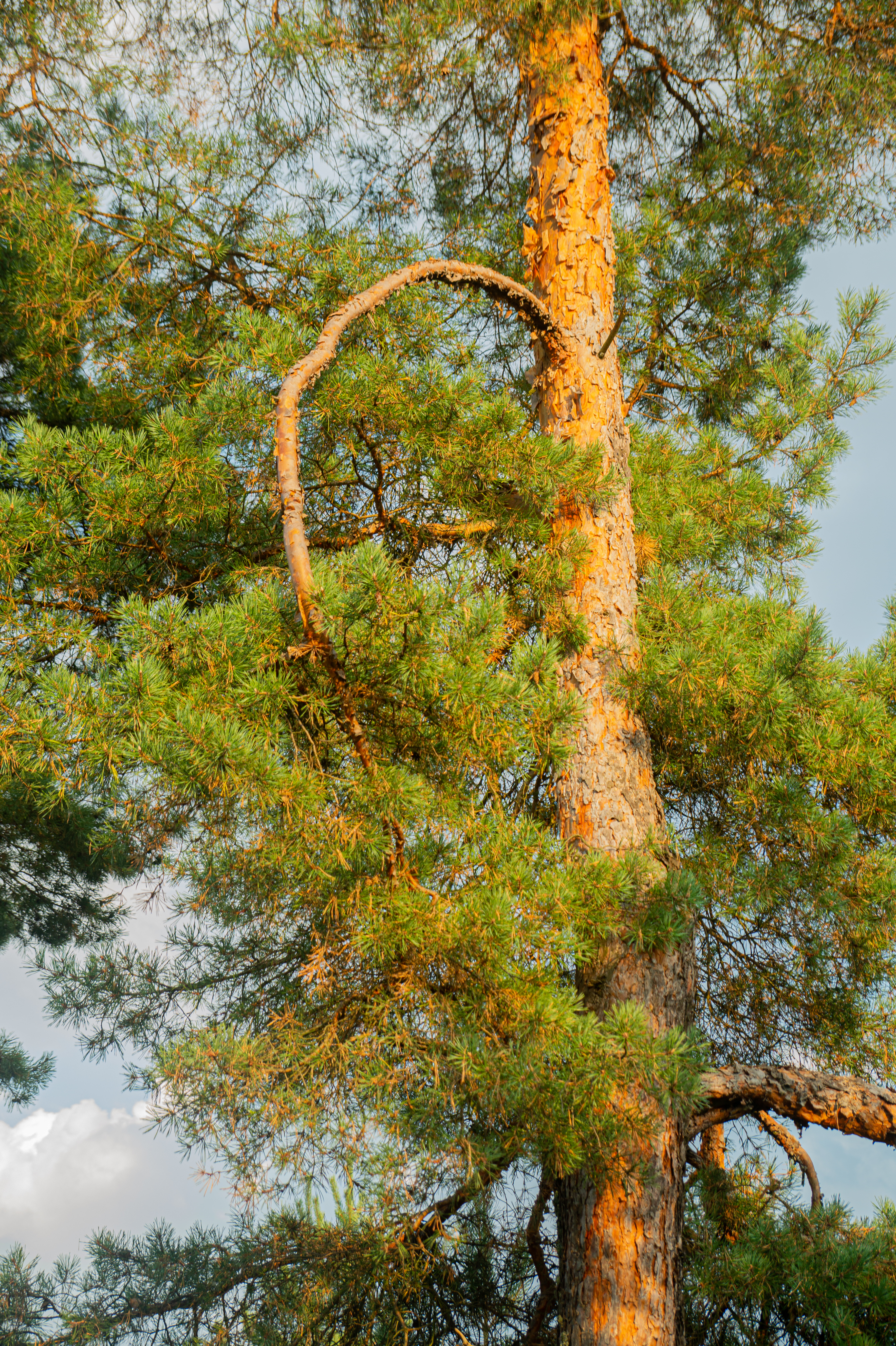 Standard Post with Image